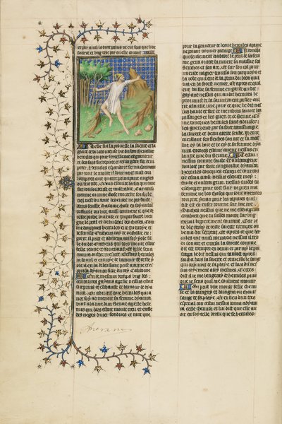 Hercules Poisoned by the Shirt of Nessus by Unbekannt Unbekannt